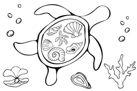 Sea turtle underwater clip art set. Charming black and white line art illustration of a stylized turtle with intricate seashells and a starfish, bubbles, coral, and an open oyster with a pearl. 