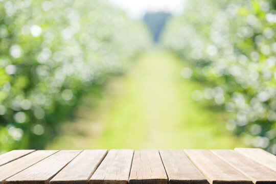 Empty wooden table and orchard garden as background