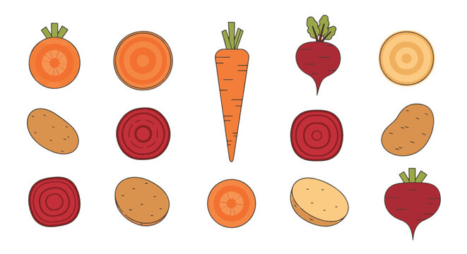 Flat vector illustration set of organic root vegetables featuring whole and sliced carrots, potatoes, and beets isolated on a white background for culinary and healthy eating design.