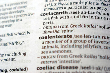 Fototapeta premium Definition Of English Dictionary Close Up Of Page With Word - coelacanth