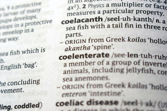 Definition Of English Dictionary Close Up Of Page With Word - coelacanth