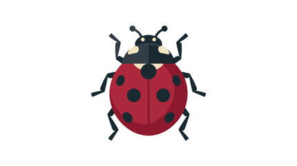 Red ladybug with black spots insect. © Yasmin