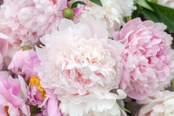 A close-up view of a bouquet of lush pink peonies © Olga Tkacheva
