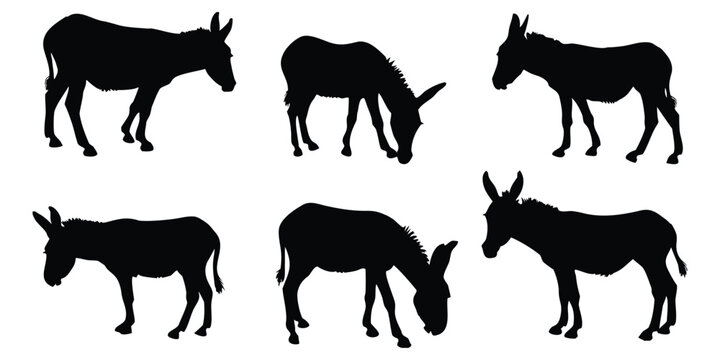 Donkey silhouette vector set, Domestic donkey farm livestock black silhouette bundle