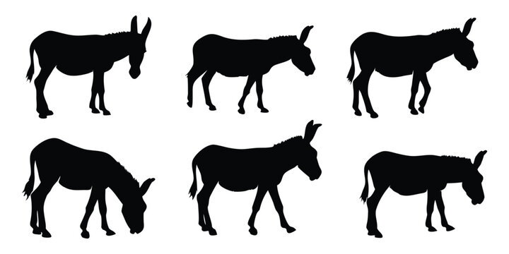 Donkey silhouette vector set, Domestic donkey farm livestock black silhouette bundle