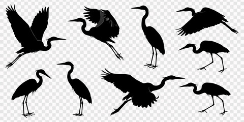 Obraz premium Silhouettes of Great Blue Herons and Egrets in Various Poses Including Standing Walking and Flying Isolated on White Background for Design, Collection of Great Blue Heron Silhouettes Standing