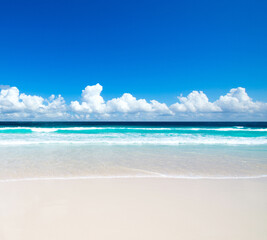 Fototapeta premium Sand of beach caribbean sea. Beach landscape