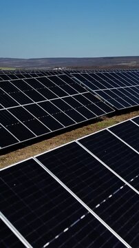 Solar panels arranged in rows capture sunlight on a clear day, showcasing the renewable energy technology in a vast open field under a blue sky