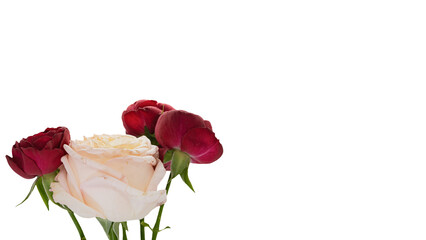 Fototapeta premium 白薔薇と赤薔薇のフラワーアレンジメント
