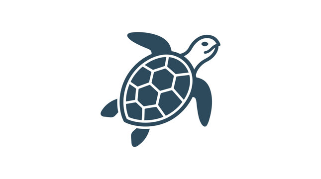 Turtle Shell Reptile Sea Animal.