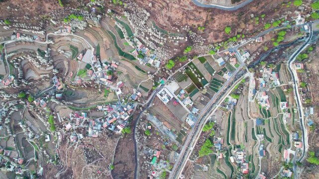 Drone view of white pear blossoms in village in spring in Jinchuan, Sichuan, China, beautiful white flowers in sunny morning, 4k real time footage, travel concept.