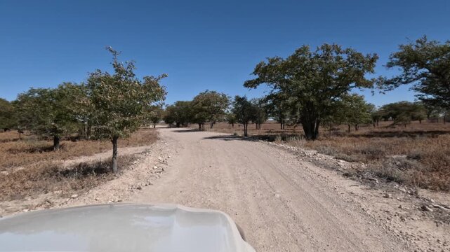 A lone white car drives along a dusty dirt road in southern Namibia, Africa.