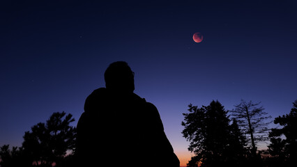 Fototapeta premium Amateur astronomer observing stars, planets, Moon and other celestial objects.