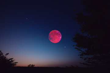 Fototapeta premium Lunar eclipse, stars and planets above landscape silhouettes.