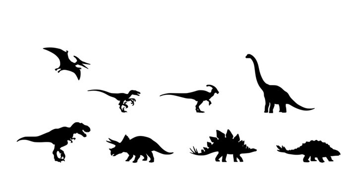 Dinosaur Silhouettes Vector Set on White Background Featuring Multiple Species in Black Outline Featuring Silhouette, Prehistoric, Prehistoric