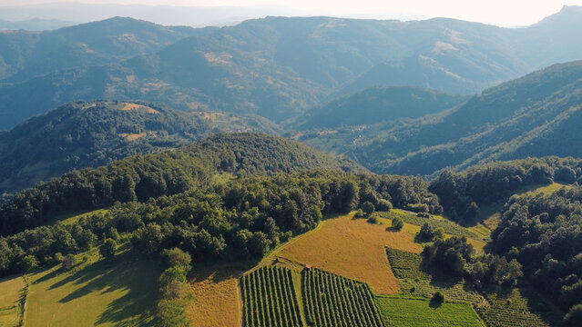 Tranquil sunny summer landscape with green fields and hills.