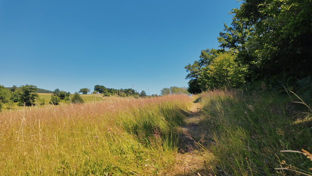 Tranquil sunny summer landscape with green fields and hills.