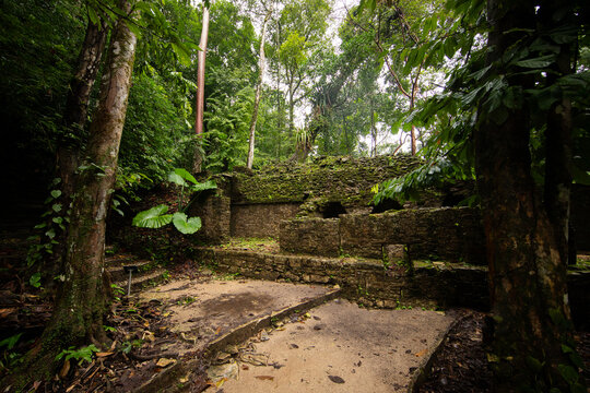 Ancient Mayan ruins overgrown with moss in the lush jungle of Palenque, Chiapas