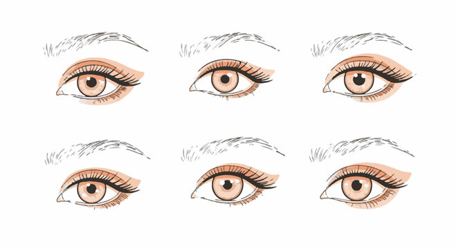 Vector illustration set of six female eye shape types and eyebrow styles in line art with peach watercolor accents, demonstrating various eyelid structures, pupils, and lash arrangements.
