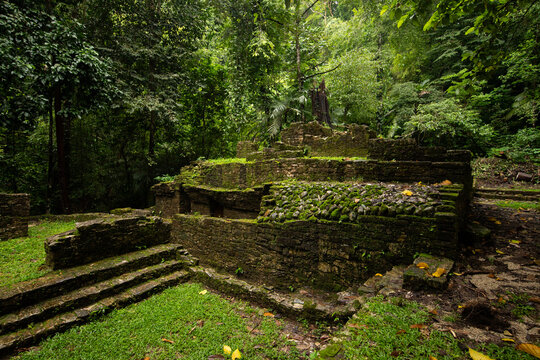 Ancient Mayan ruins overgrown with moss in the lush jungle of Palenque, Chiapas