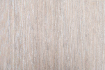 Naklejka premium Pale oak wood panel showing vertical grain on surface