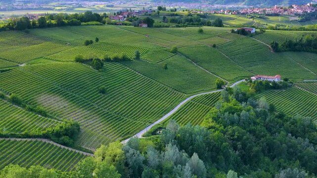 Aerial View of Rolling Green Vineyards and Farmhouses in Piedmont Italy