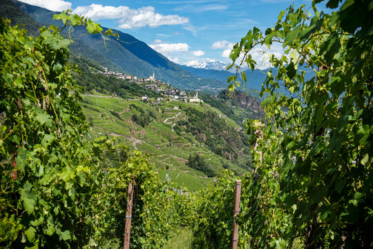 Buildings and landscape on the wine road in Valtellina
