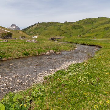 winding path through flowered colored meadows from the three stage alpine farming. dirty road, way to house in the alps of Austria, with rocky mountains and steep slopes on a sunny summer day