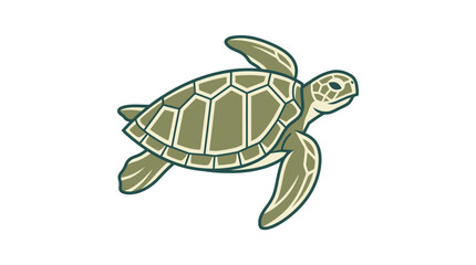 Green Sea Turtle Swimming Alone. © Alpin