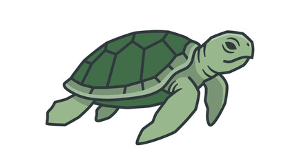 Green sea turtle swimming alone. © Alpin