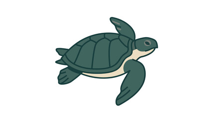 Green Sea Turtle Swimming Alone. © Alpin