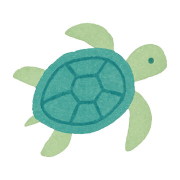 PNG Cute hand-drawn green turtle
