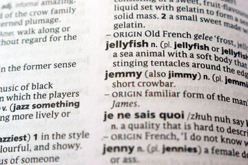 Fototapeta premium English Dictionary Page Close Up With The Word Definition Of - jellyfish
