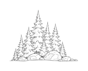 Fototapeta premium Hand drawn of evergreen trees and rocks in a forest setting nature black