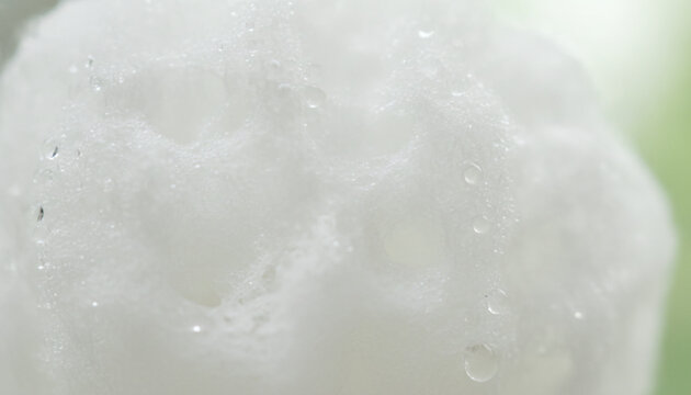 Wet organic Konjac facial sponge macro with soft porous botanical texture