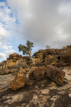Rocky kopje landscape with sparse vegetation, Zimbabwe