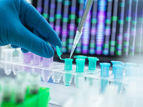 Scientist pipetting DNA sample into eppendorf tube