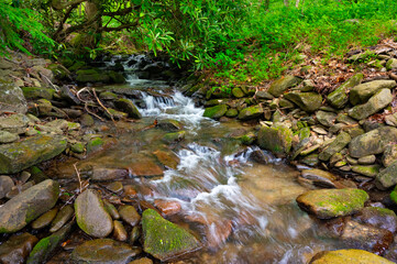 Abrams Creek in Cades Cove with small cascades and lush vegetation, rocks and grass © Darren Koobs