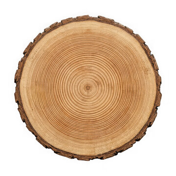 Cross section of a tree trunk showing growth rings isolated on with circular isolated on transparent background