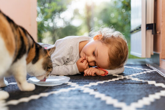 Cute toddler girl watching cat drinking from bowl