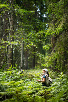 Hiker with backpack exploring deep green forest among tall ferns