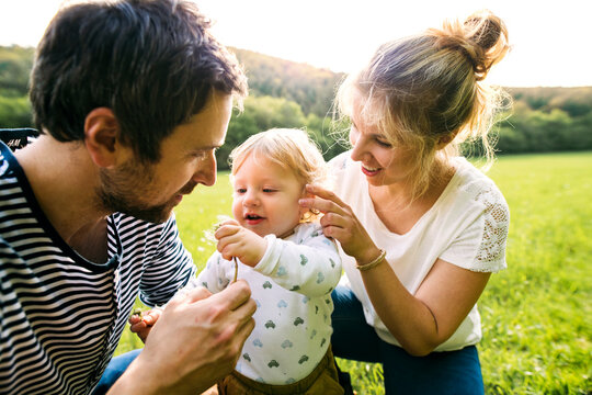 Cute little boy with parents on meadow