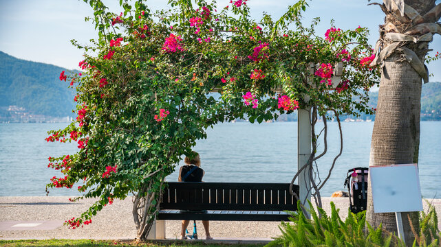 Scenic Waterfront Promenade in Fethiye with Sitting Area Under Blooming Bougainvillea and Palm Tree