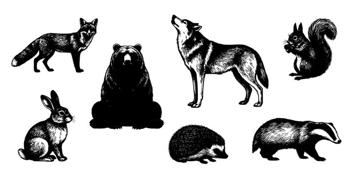 Animal Silhouettes Set of Black and White Engravings Featuring Fox, Dog, Bear, Cat, and Other Wildlife