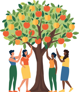  Vintage apple picking vector illustration with rustic linocut texture and traditional garden harvest woodcut line art