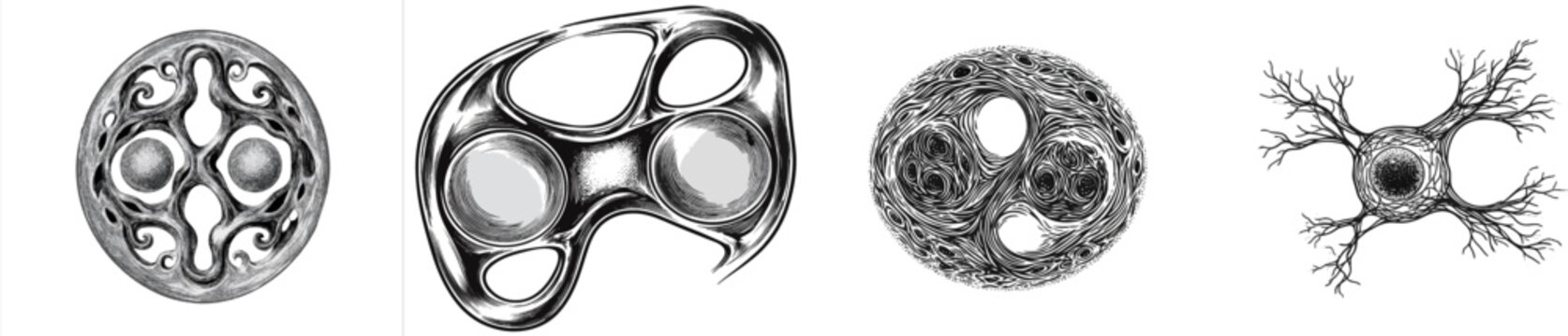 A detailed biological cell mitosis illustration in high-contrast black and white features intricate negative space lines and micro-stippling against a pure white background