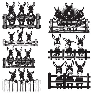 Vector set of three playful farm donkeys peeking over fence rails silhouette illustrations for children books and agricultural logos