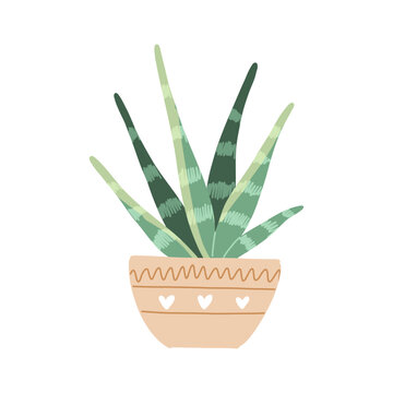 Aloe vera plant in a pot, hand drawn. Cute skincare wellness element. Hand drawn vector in simple style