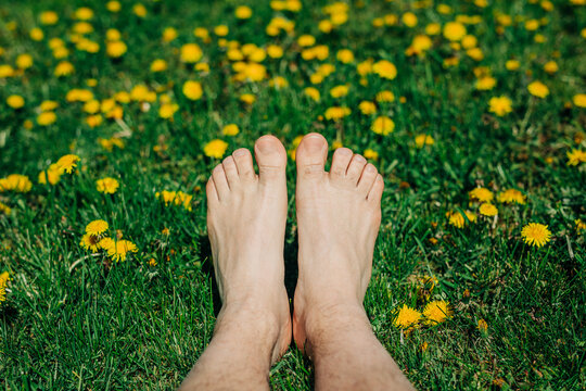 Bare feet resting on green grass with blooming yellow dandelions