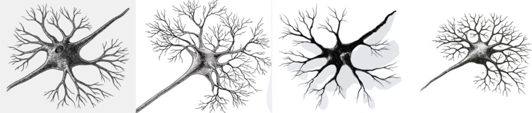 This intricate high-contrast black and white vector illustration depicts a human neuron cell with long axon and branching dendrites, rendered using classic etching and engraving line art methods on a